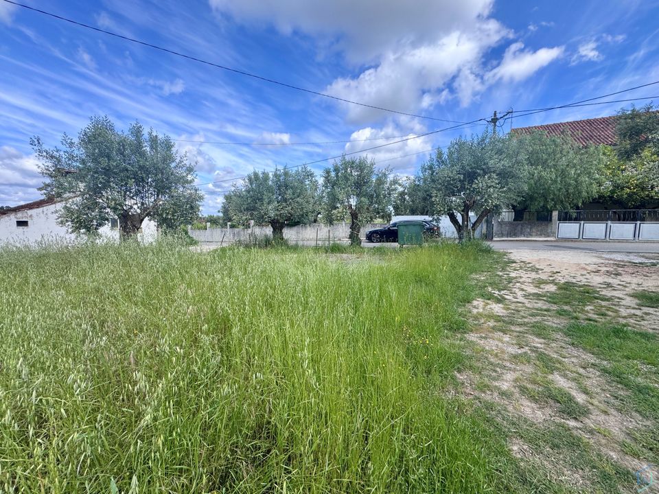 Helårsgrund i Tomar, Santarem - foto 3