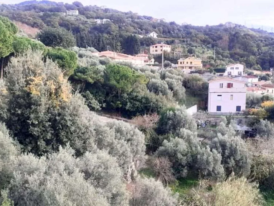 Villa i Cetraro, Cosenza - foto 2