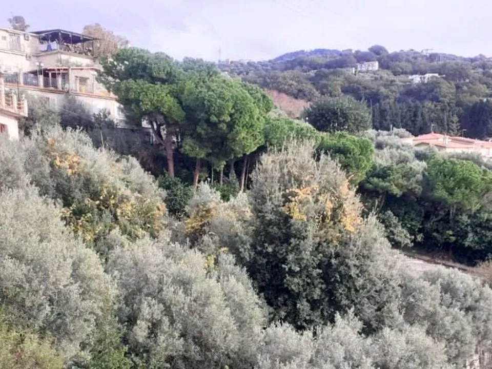 Villa i Cetraro, Cosenza - foto 3