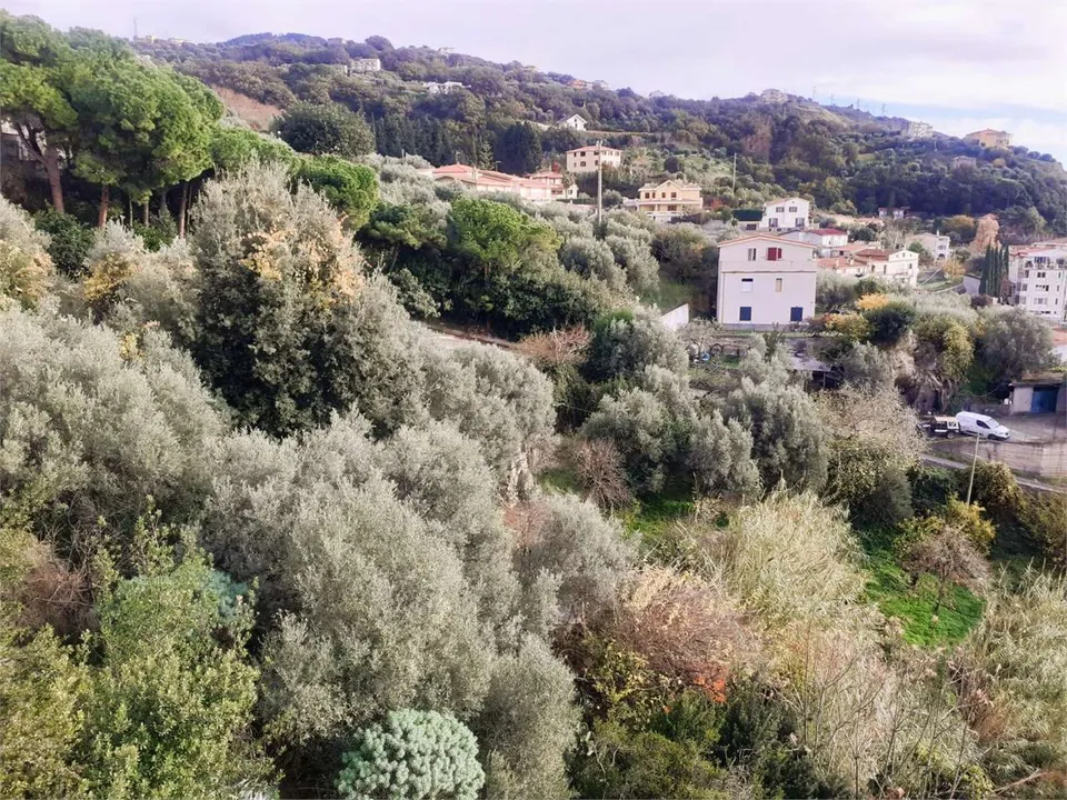 Villa i Cetraro, Cosenza - foto 4