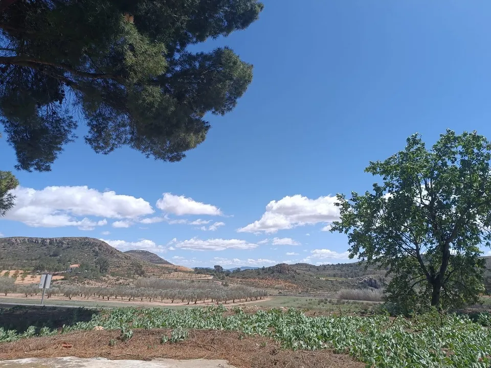 Herregård i Yecla, Murcia - bilde 3