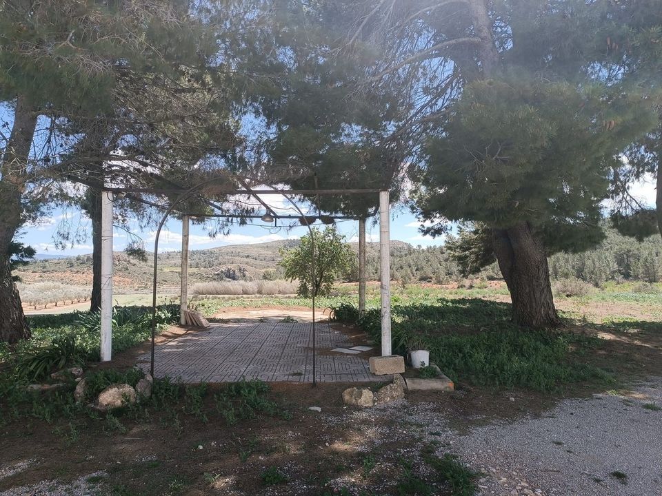 Herregård i Yecla, Murcia - bilde 4
