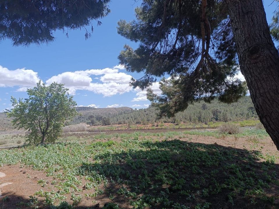 Herregård i Yecla, Murcia - bilde 5