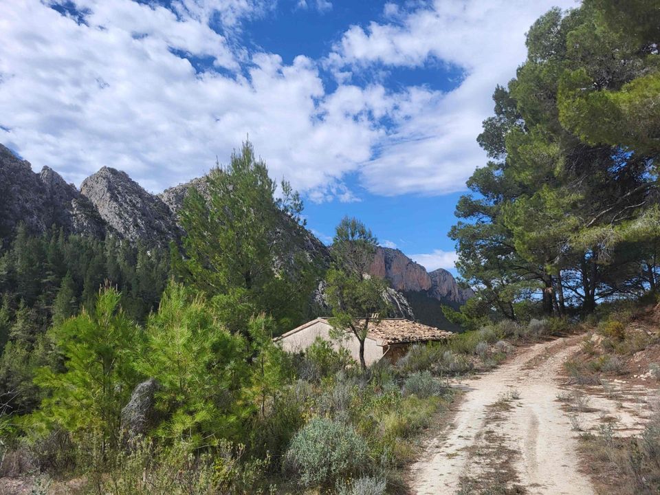 Terra a Benimantell, Alicante - foto 3