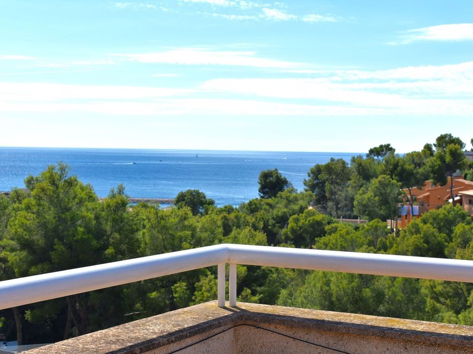 Villa i Calvia, Mallorca - foto 3
