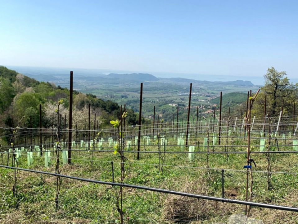 Helårsgrund i Caprino Veronese, Verona - foto 5