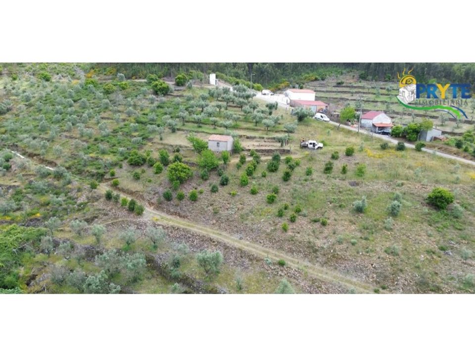 Helårsgrund i Troviscal, Castelo Branco - foto 5