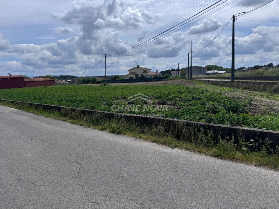 Helårsgrund i Oliveira do Bairro, Aveiro - foto 1