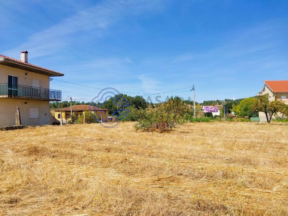 Byhus i Mirandela, Braganca - foto 4