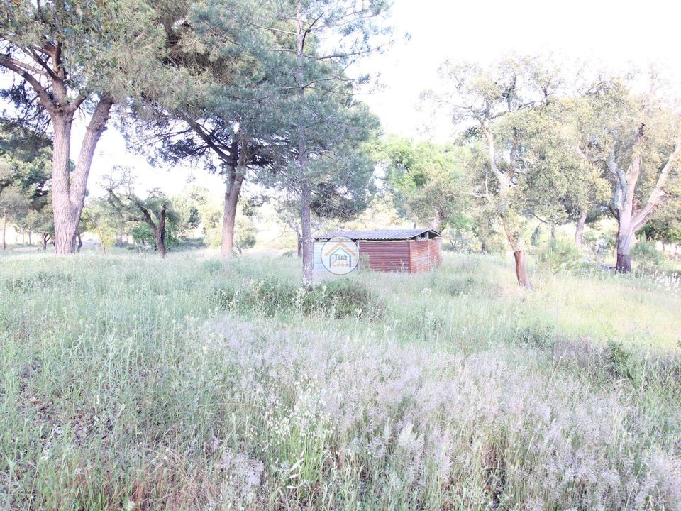 Helårsgrund i Montemor-o-Novo, Evora - foto 3