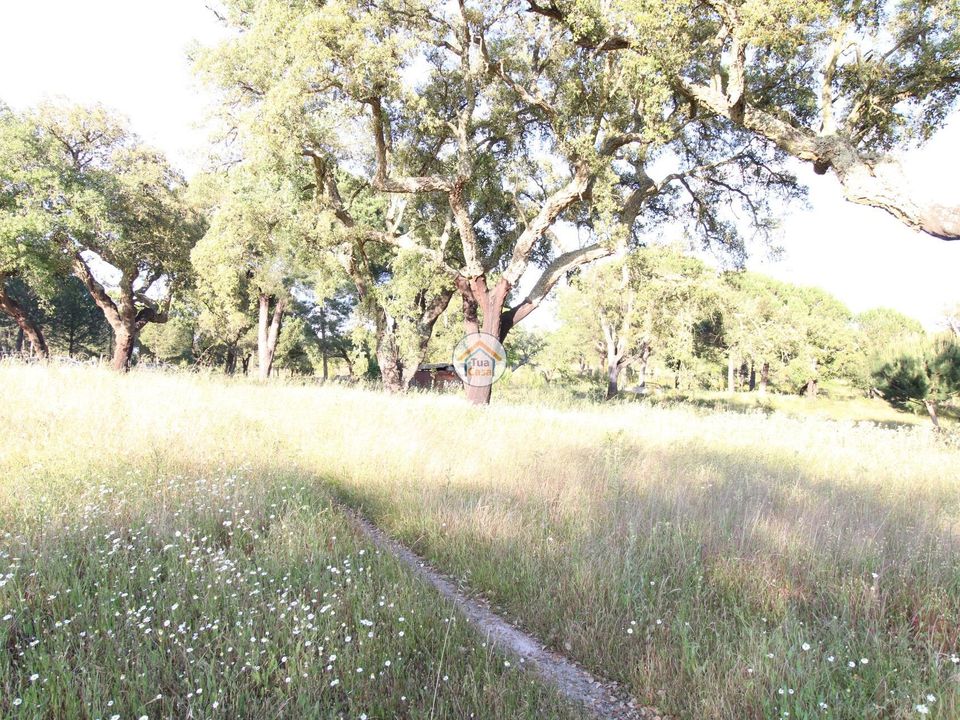Helårsgrund i Montemor-o-Novo, Evora - foto 5