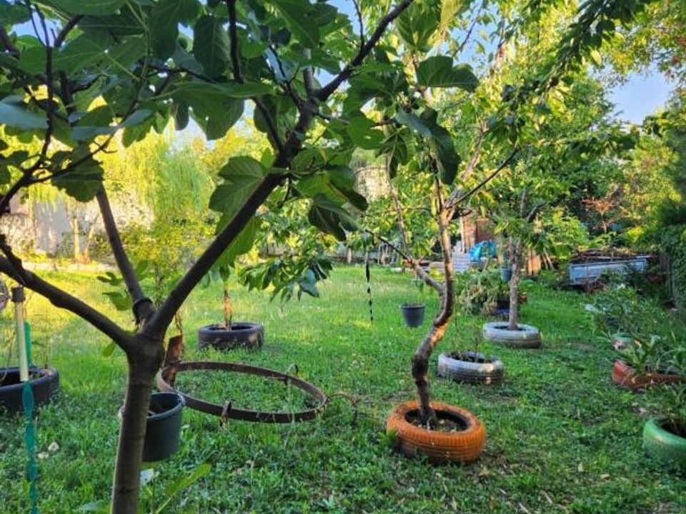 Villa i Vetraz-Monthoux, Haute-Savoie - foto 2