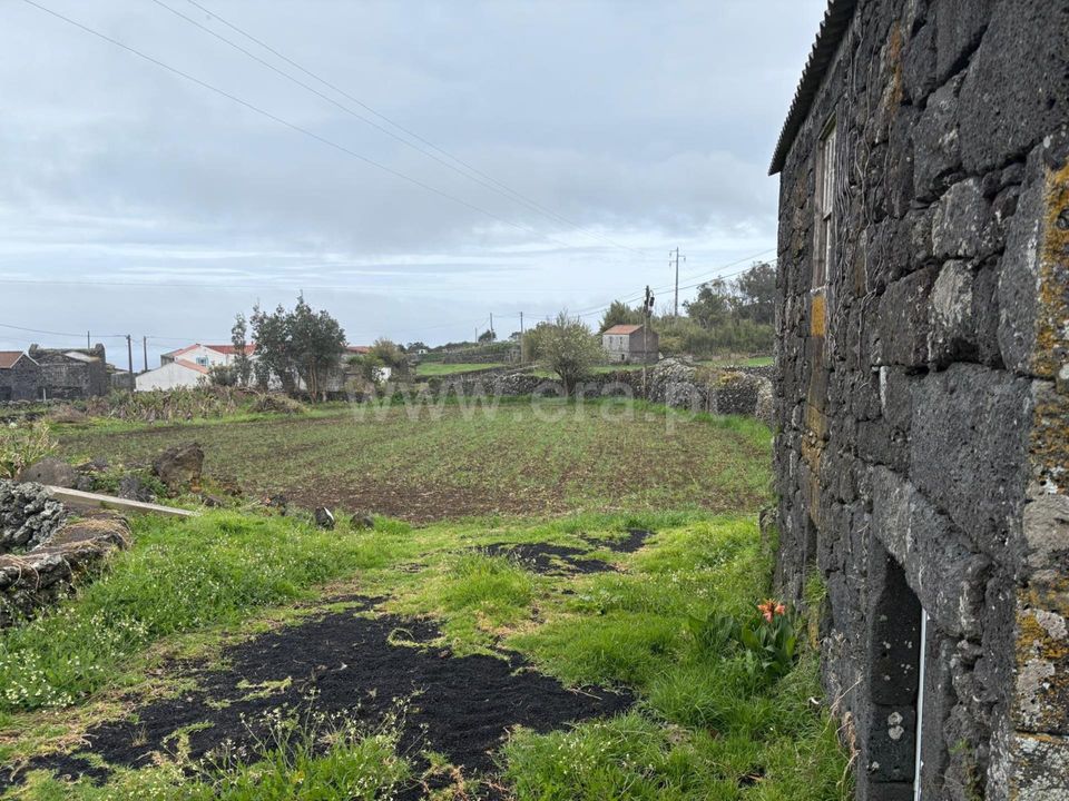 Helårsgrund i Lajes do Pico, Pico - foto 3