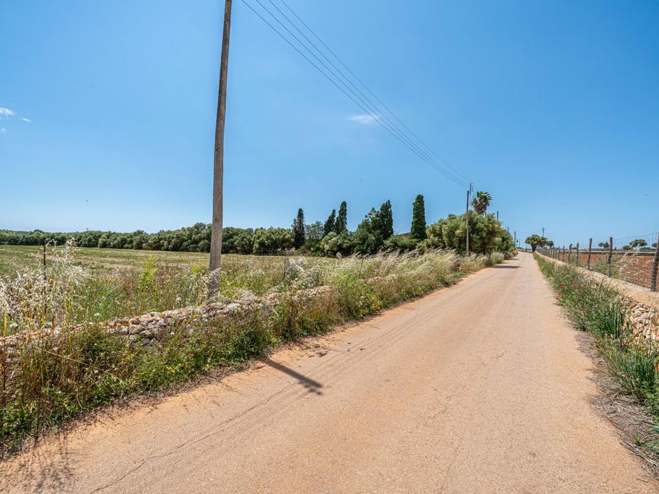 Helårsgrund i Felanitx, Mallorca - foto 4