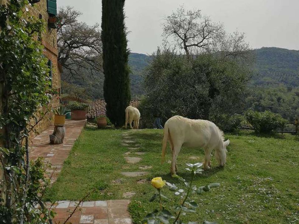 Villa i Moiano, Perugia - foto 4