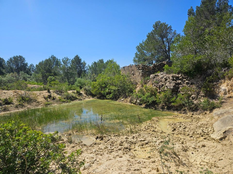 Helårsgrund i L'Ametlla De Mar, Tarragona - foto 2