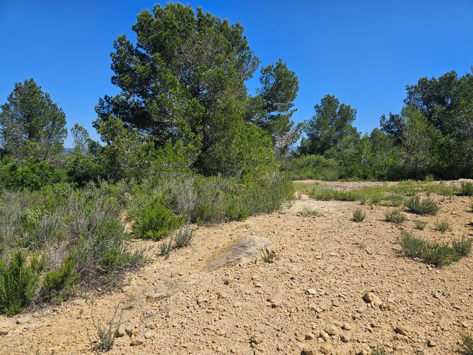 Helårsgrund i L'Ametlla De Mar, Tarragona - foto 4