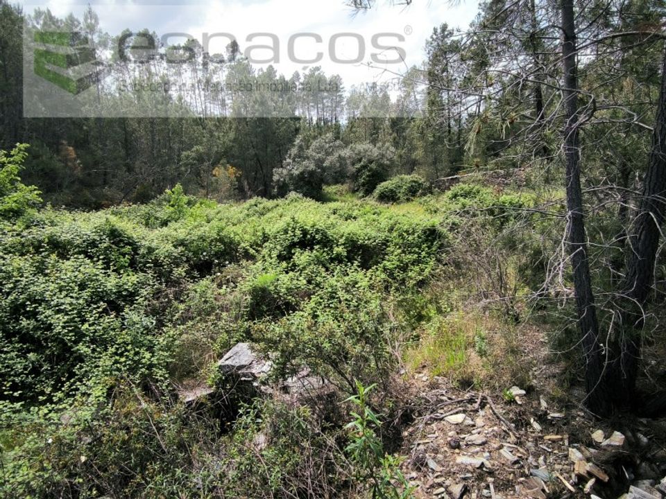 Helårsgrund i Castelo Branco, Castelo Branco - foto 4