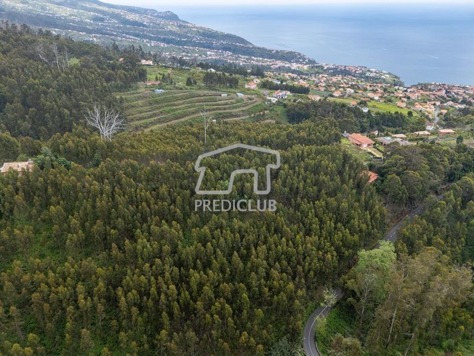 Helårsgrund i Calheta, Madeira - foto 5