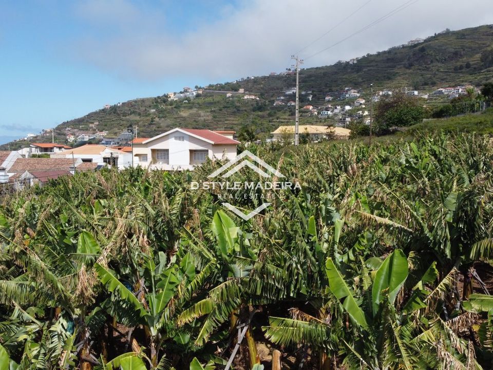 Helårsgrund i Calheta, Madeira - foto 4