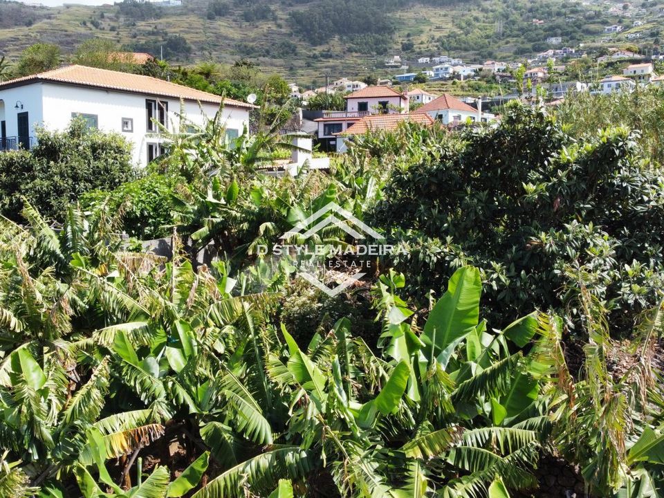 Helårsgrund i Calheta, Madeira - foto 5