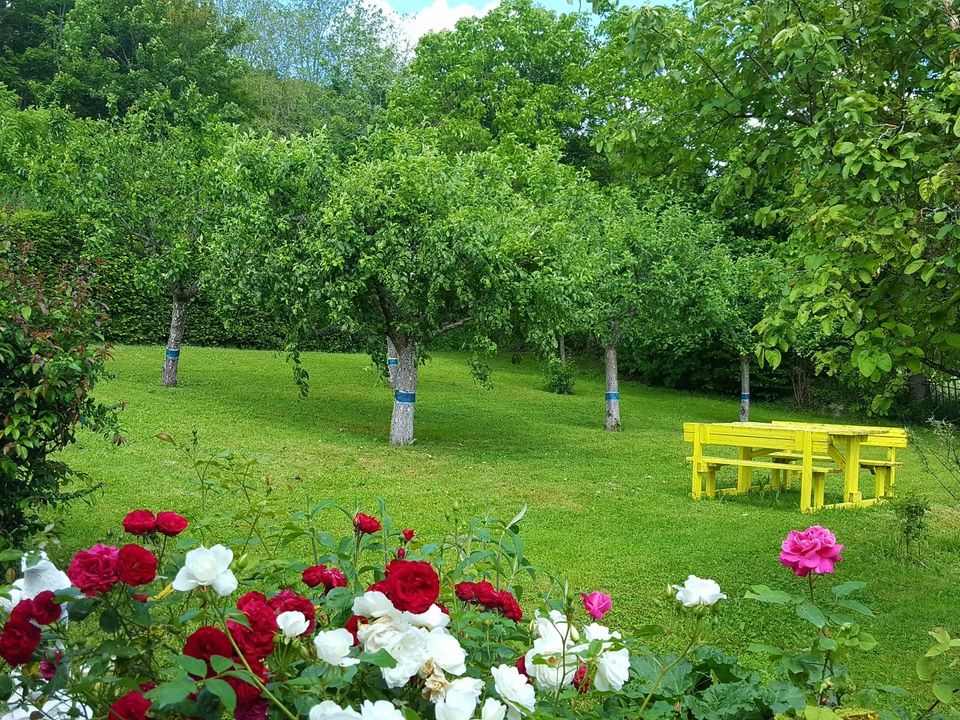 Landejendom i Aurillac, Cantal - foto 4