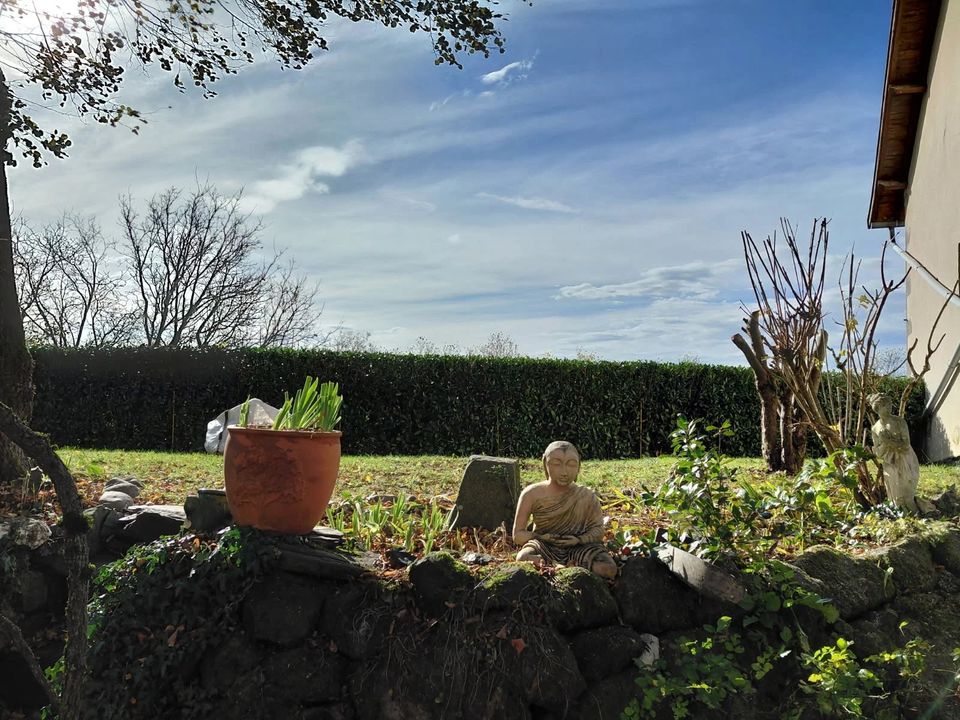 Landejendom i Aurillac, Cantal - foto 1