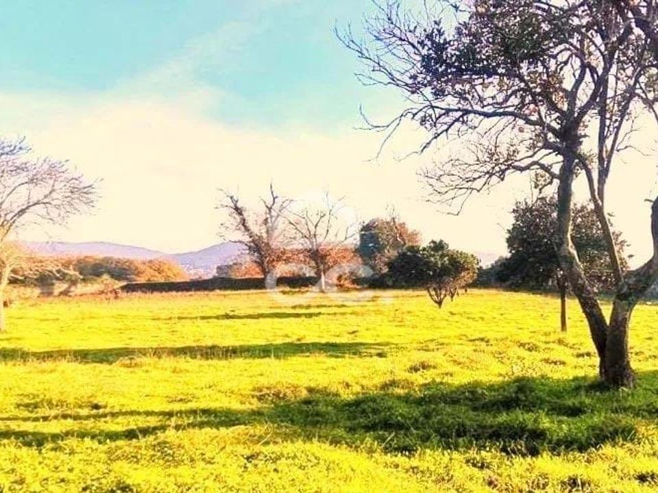 Farm hus i Viana do Castelo, Viana do Castelo - foto 4