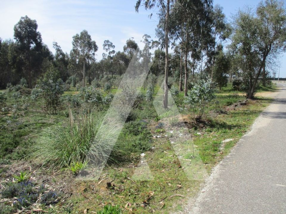 Helårsgrund i Oliveira do Bairro, Aveiro - foto 2