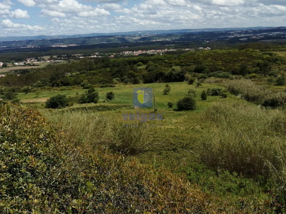 Helårsgrund i Caldas da Rainha, Leiria - foto 3