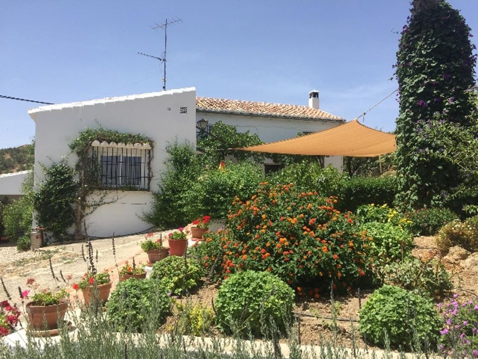 Landejendom i Antequera, Malaga - foto 4