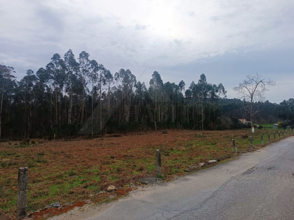 Helårsgrund i Barcelos, Braga - foto 2