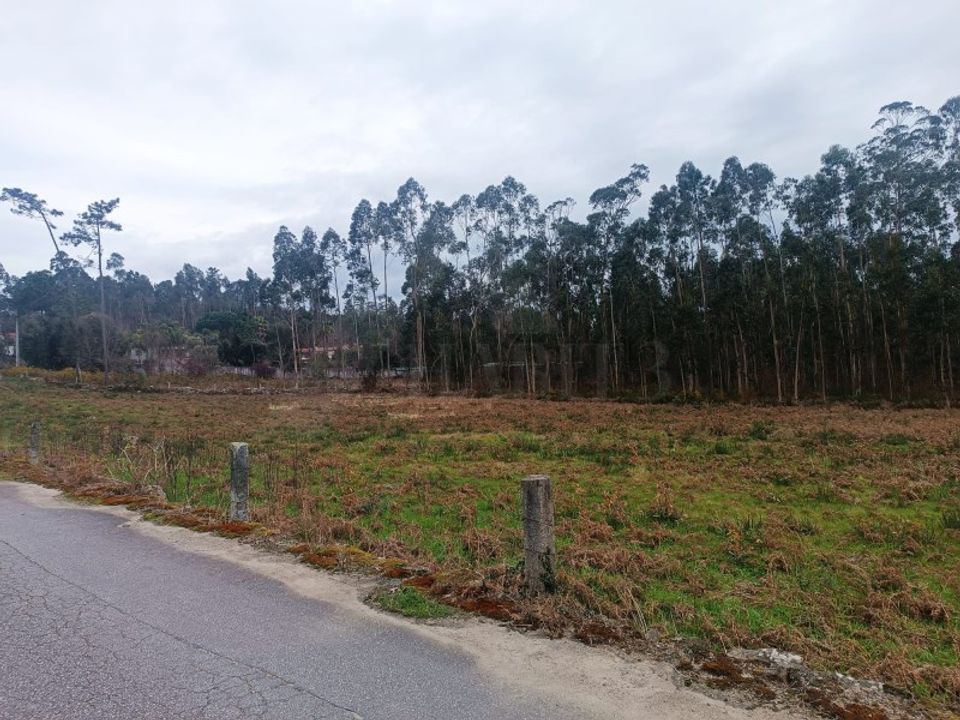Helårsgrund i Barcelos, Braga - foto 3