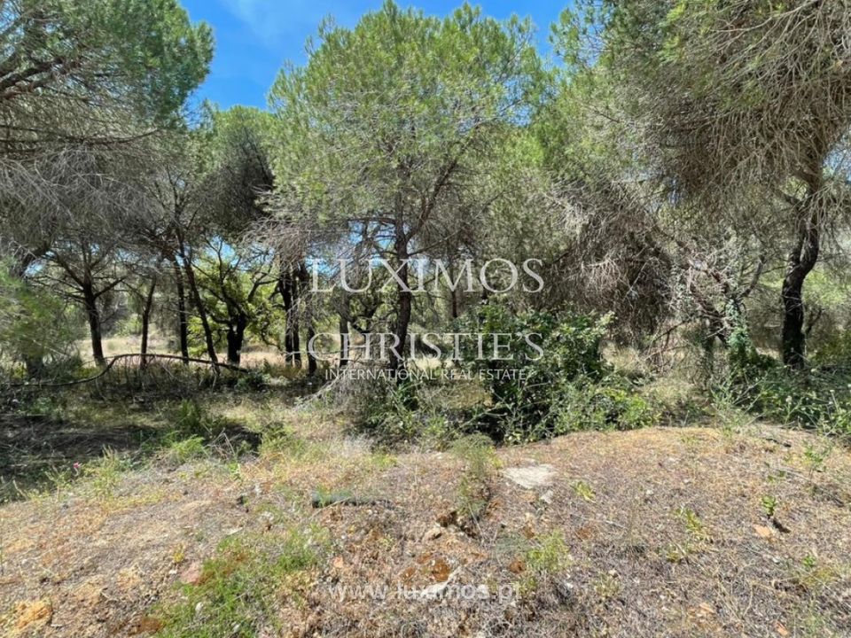 Helårsgrund i Quinta do Lago, Faro - foto 3