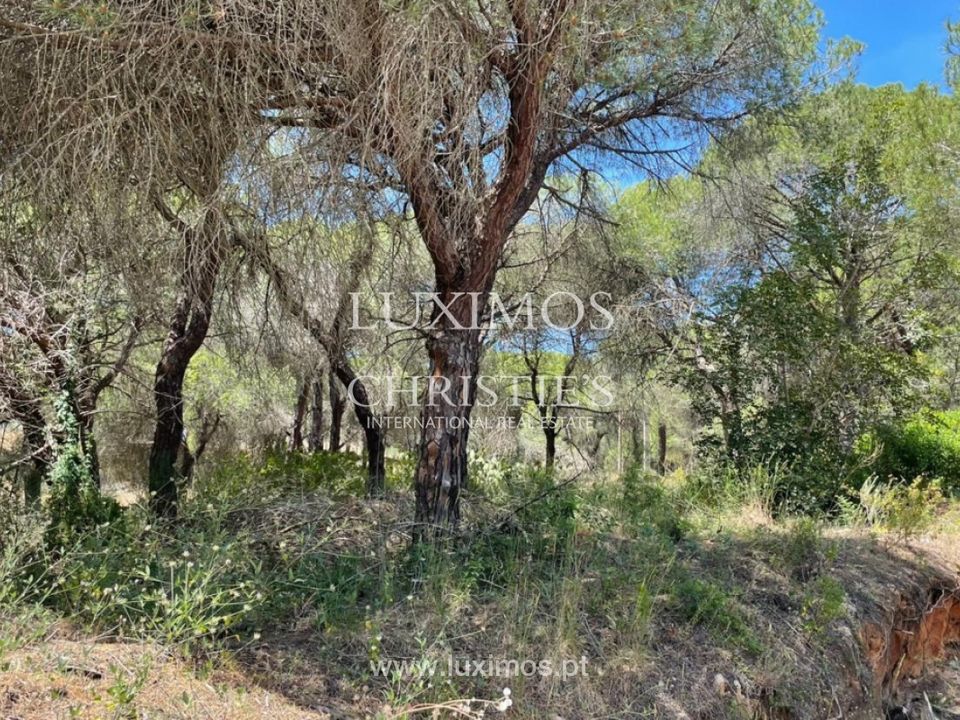 Helårsgrund i Quinta do Lago, Faro - foto 4