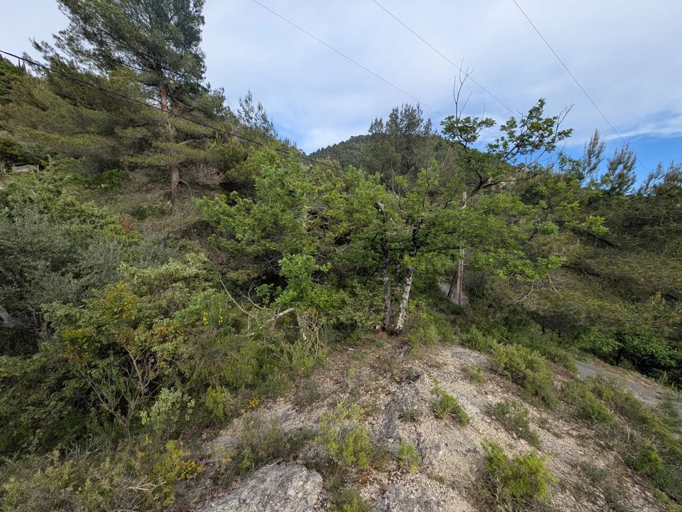 Helårsgrund i Lucéram, Alpes-Maritimes - foto 2