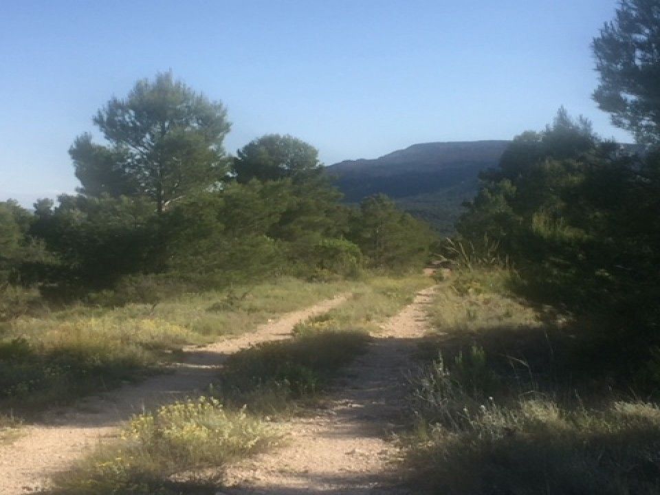 Helårsgrund i Ayora, Valencia - foto 3