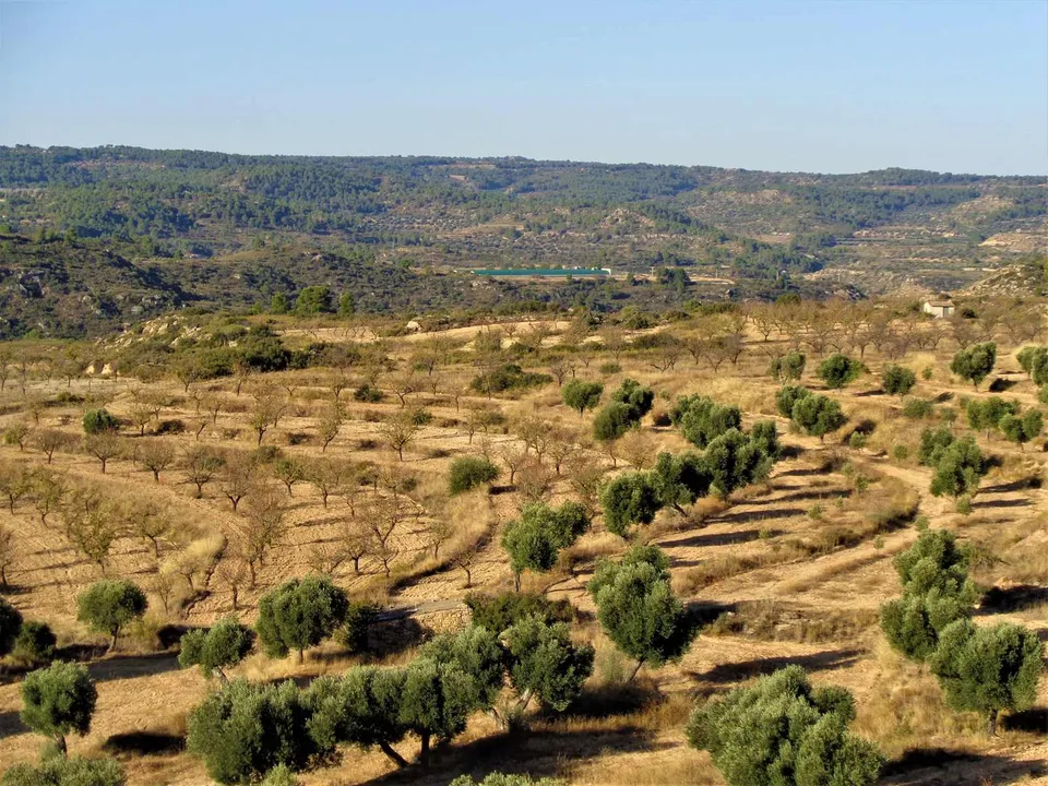 Finca i Maella, Zaragoza - foto 1