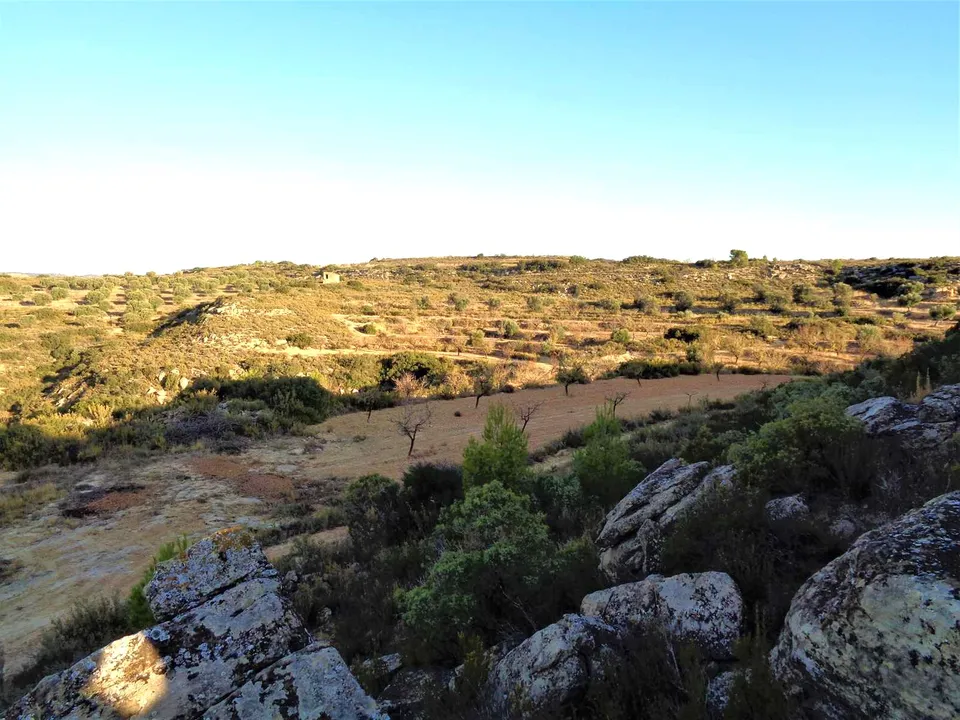 Finca i Maella, Zaragoza - foto 3