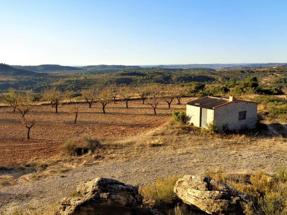 Finca i Maella, Zaragoza - foto 5
