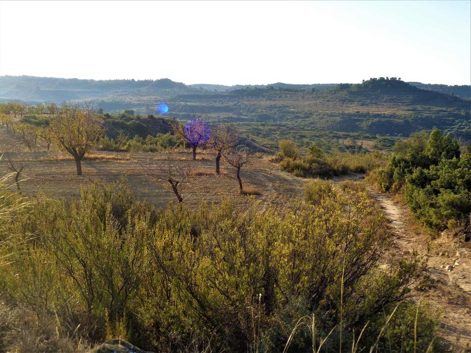 Finca i Maella, Zaragoza - foto 2