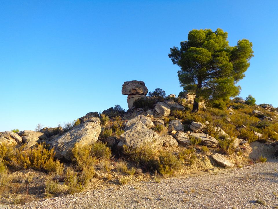 Finca i Maella, Zaragoza - foto 4