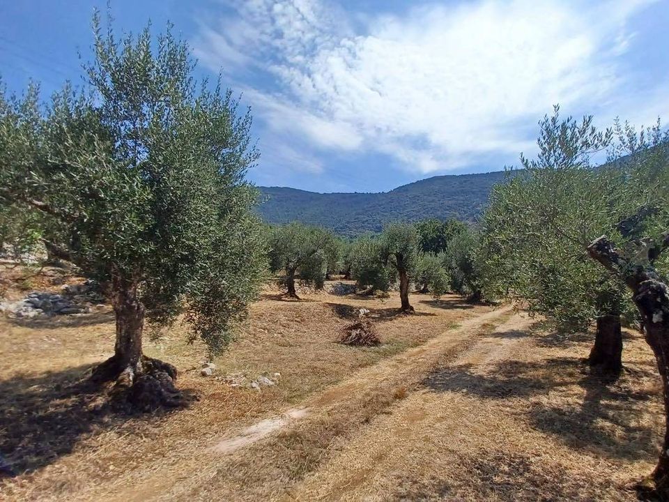 Tomt i Maenza, Latina - bilde 1