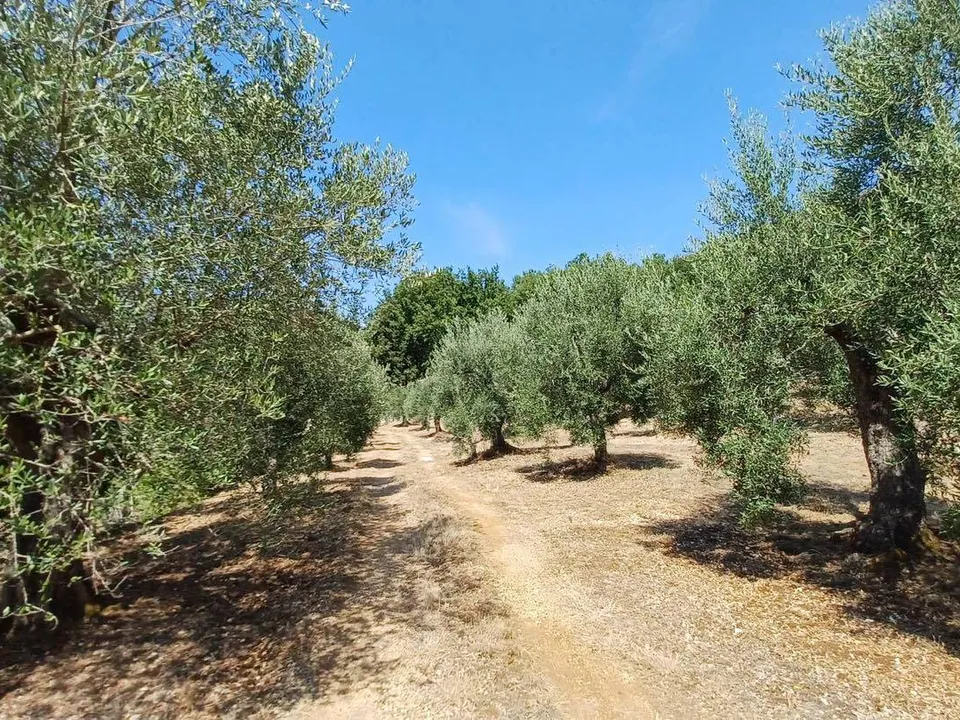 Tomt i Maenza, Latina - bilde 2