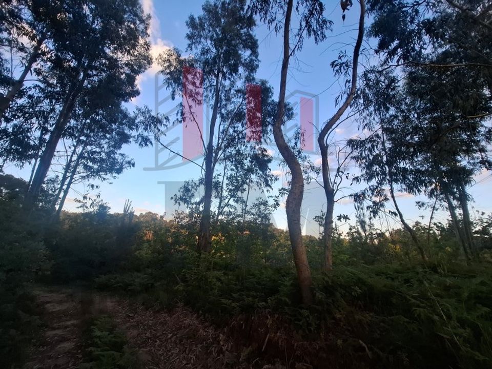Helårsgrund i Amares, Braga - foto 3