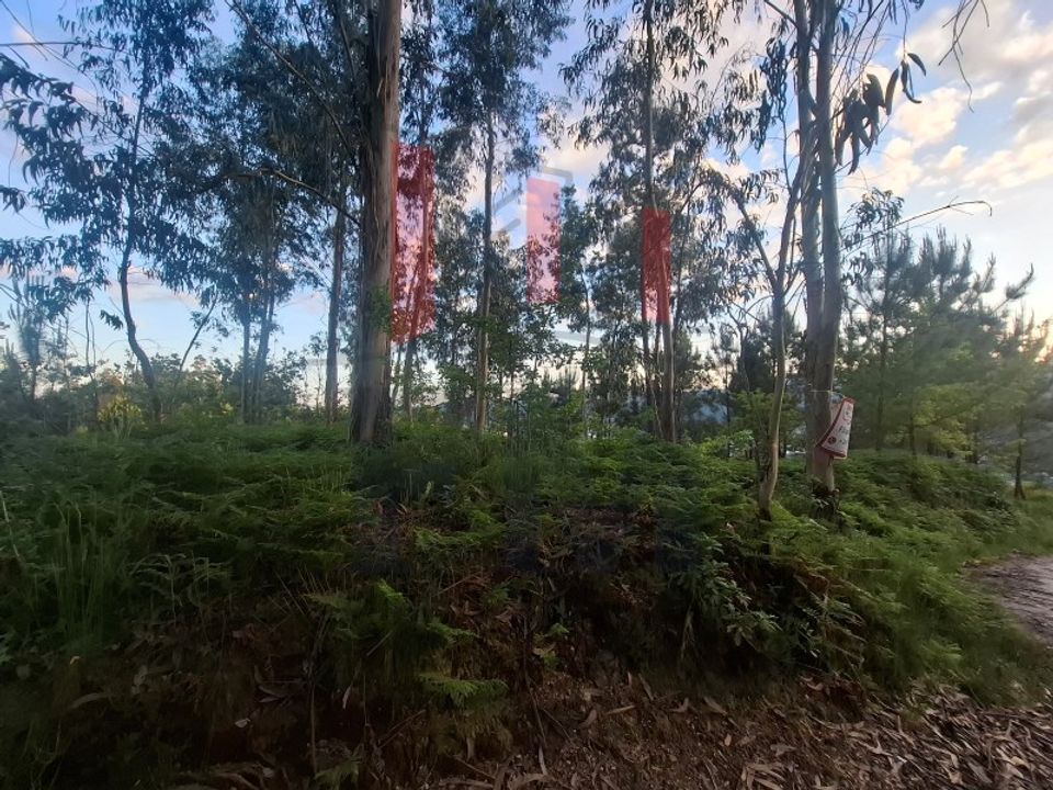Helårsgrund i Amares, Braga - foto 4