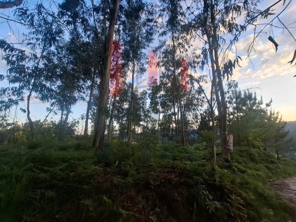 Helårsgrund i Amares, Braga - foto 5