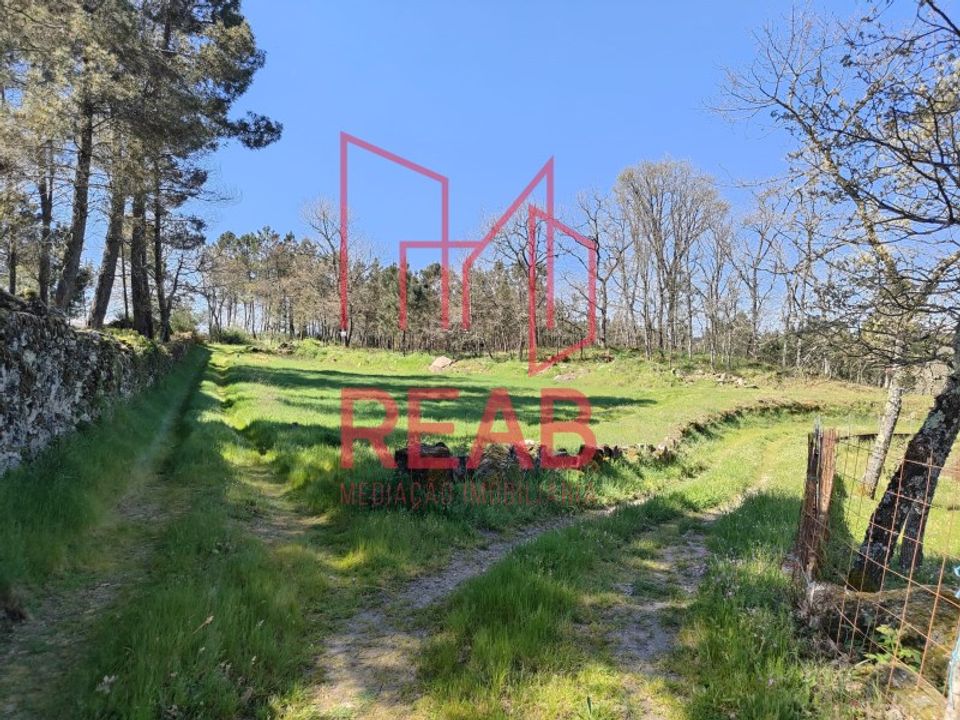 Helårsgrund i Aguiar da Beira, Guarda - foto 3