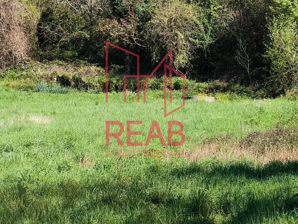 Helårsgrund i Aguiar da Beira, Guarda - foto 5