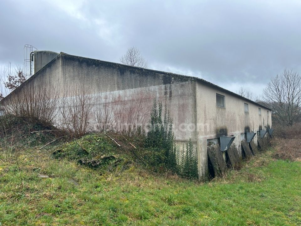 Farm hus i Saint-Sornin-Leulac, Haute-Vienne - foto 4